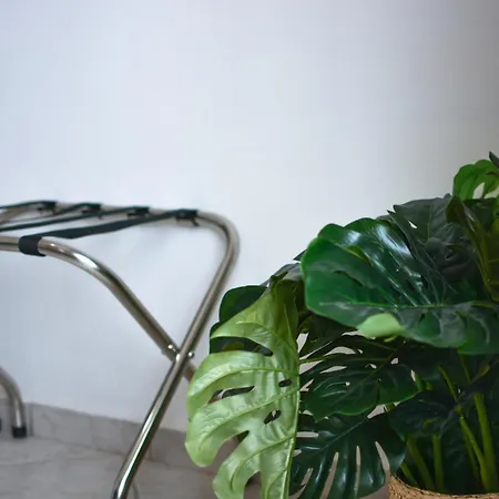 Daphne's 2 Appartamento *